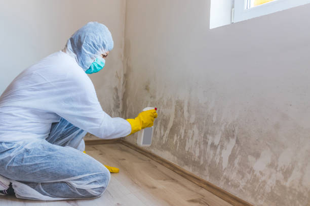 Licensed Commercial Mold Remediation service in Key Biscayne, FL - WQB Mold Removal