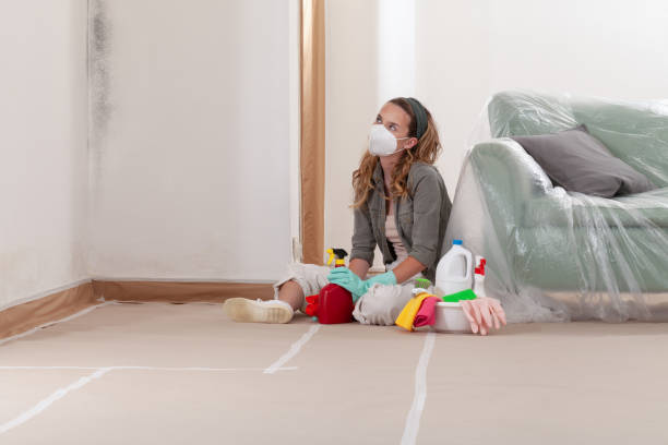 Reliable Commercial Mold Remediation contractor in Key Biscayne, FL by WQB Mold Removal